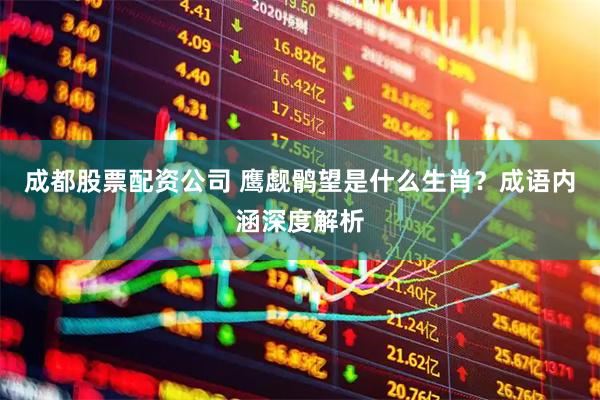 成都股票配资公司 鹰觑鹘望是什么生肖？成语内涵深度解析
